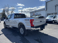 See Dealer Website for Details. 2019 Ford Super Duty F-250 SRW XLT (image 1)