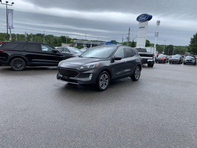 2020 Ford Escape SEL 4WD - Leather/Roof/Nav/Co-Pilot/LOADED!!! in Cars & Trucks in Kawartha Lakes