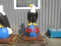 Case Eagle