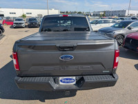 Apple CarPlay, Android Auto, Aluminum Wheels, Ford Co-Pilot360, Dynamic Hitch Assist! This 2019 Ford... (image 4)