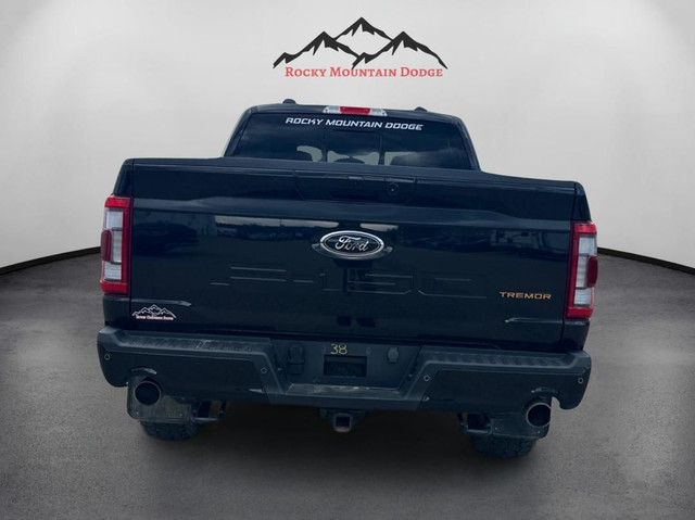 ONE OWNER 2023 FORD F-150 CREWCAB TREMOR in Cars & Trucks in Red Deer - Image 4