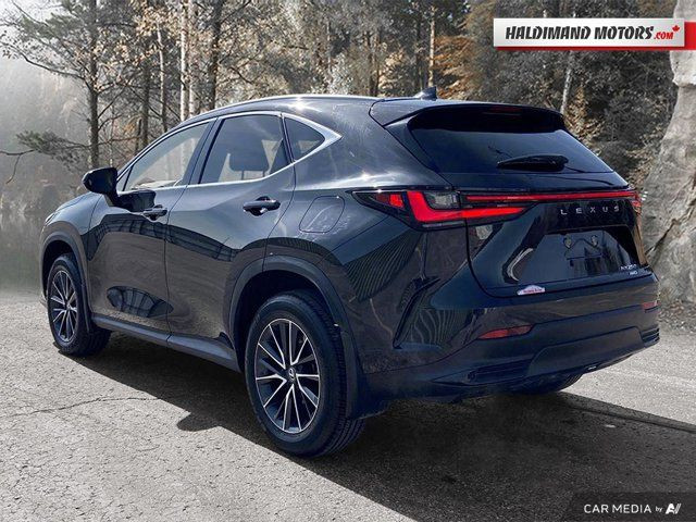 2024 Lexus NX NX 250 in Cars & Trucks in Hamilton - Image 3