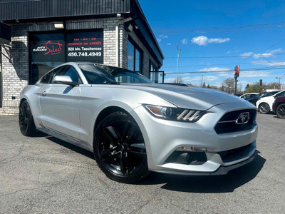 2015 Ford Mustang 2dr Fastback EcoBoost 5OTH YEARS EDITION