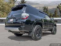 Recent Arrival! 2024 Toyota 4Runner 4.0L V6 DOHC 4WD 4WD, 17 Alloy Wheels, 17 Unique Alloy Wheels, 4... (image 5)