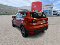 2019 Ford Escape SEL AWD – One Owner | Local Lethbridge SUV | Clean Carfax & Full Service History!Th... (image 4)