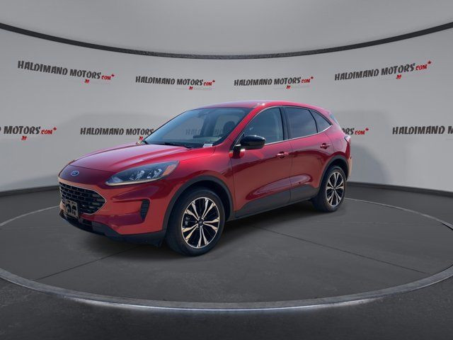 2022 Ford Escape SE Hybrid in Cars & Trucks in Hamilton - Image 4