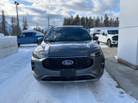 ST-Line Select AWD Engine: 2.0L Ecoboost (image 1)