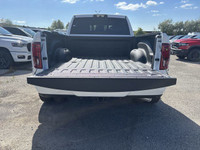 MAX TOW PACKAGE -inc: Centre Stop Lamp w/Cargo Camera Rear Auto-Levelling Air Suspension 3 Reflectin... (image 8)