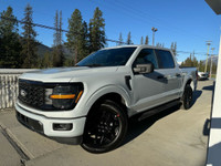 STX 2WD SuperCrew 5.5' Box Engine: 5.0L V8 (image 2)