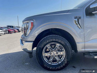 *2021 Ford F-150 Lariat 502A -- Award-Winning Power, Tech, and Capability* Winner of the *NACTOY 202... (image 8)