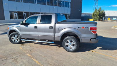 2010 Ford F 150 FX4