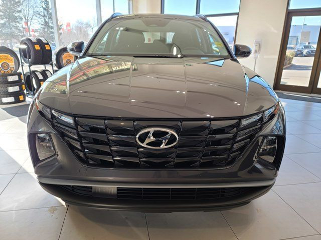 2024 Hyundai TUCSON Preferred in Cars & Trucks in Calgary - Image 4