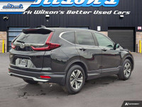 Come see this certified 2021 Honda CR-V LX | Heated Seats | Remote Start | Adaptive Cruise | Carplay... (image 4)