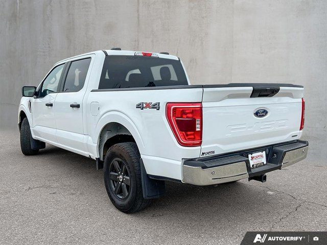 2023 Ford F-150 XLT | Accident Free CarFax | in Cars & Trucks in Edmonton - Image 4