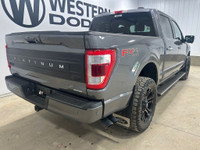 2022 Ford F-150 Platinum PLATINUM | 3.5L ECOBOOST | DUAL SUNROOF | 2 SETS O 4WD. Gray Metallic 3.5L... (image 6)