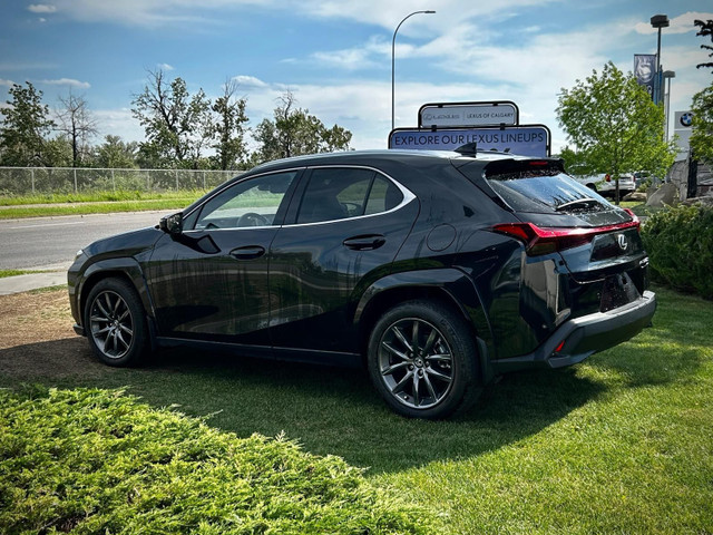 2025 Lexus UX 300h in Cars & Trucks in Calgary - Image 4