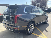 The 2020 Cadillac XT6 Premium Luxury features a Manhattan Noir Metallic exterior with a Jet Black in... (image 7)