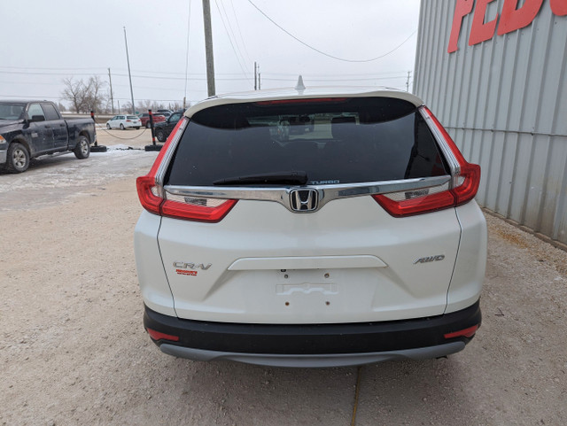 2017 Honda CR-V AWD in Cars & Trucks in Winnipeg - Image 3
