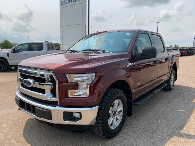 Ford F-150 XLT 2015 in Cars & Trucks in Saskatoon - Image 3