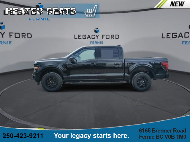 2025 Ford F-150 XLT in Cars & Trucks in Cranbrook