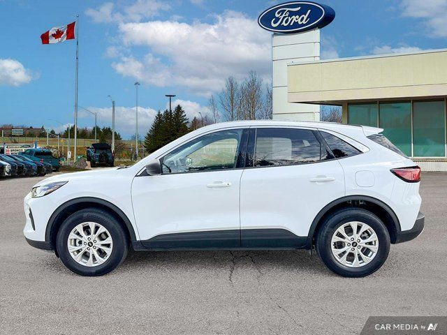 2024 Ford Escape Active in Cars & Trucks in Kitchener / Waterloo - Image 4