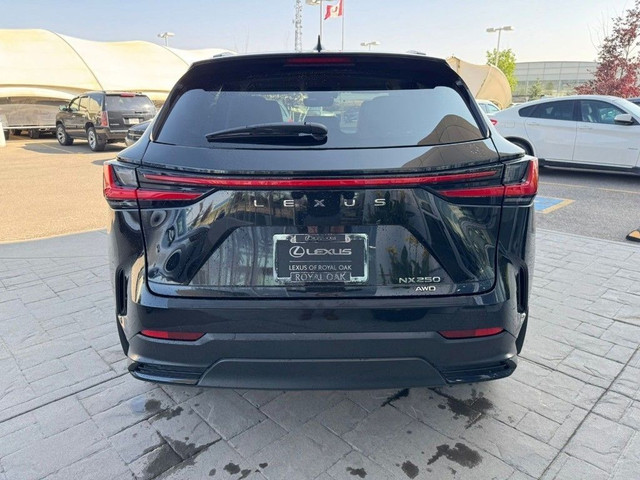 2023 Lexus NX in Cars & Trucks in Calgary - Image 3