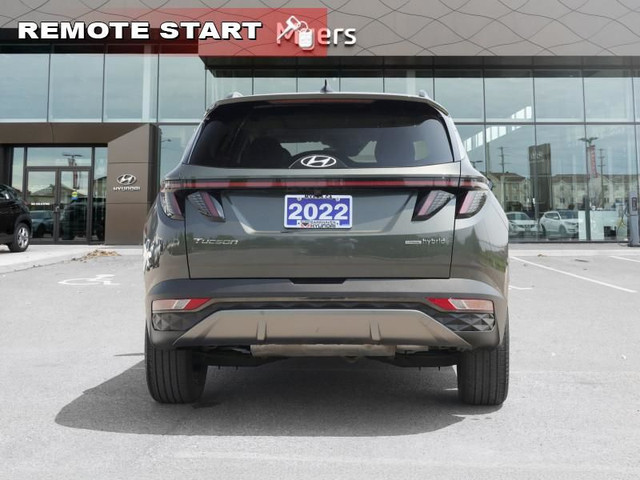 2022 Hyundai Tucson Hybrid Luxury - Cooled Seats in Cars & Trucks in Ottawa - Image 4