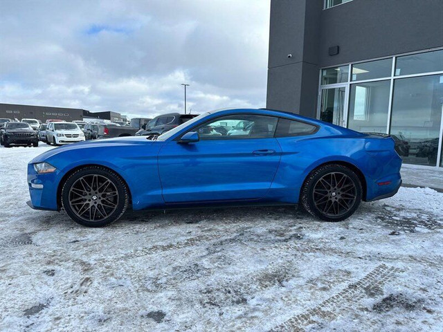 2019 Ford Mustang EcoBoost in Cars & Trucks in St. Albert - Image 4