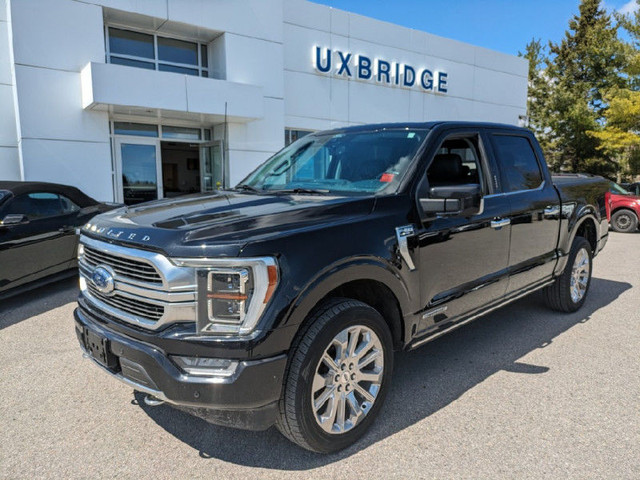 2021 Ford F-150 Limited - Leather Seats - Cooled Seats in Cars & Trucks in Kawartha Lakes