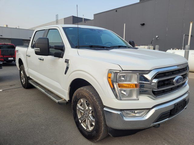 2023 Ford F-150 XL in Cars & Trucks in Calgary - Image 3