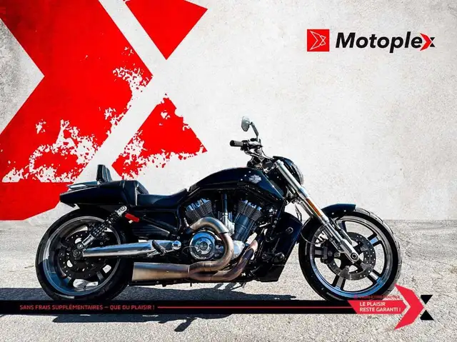 2014 HARLEY DAVIDSON VROD MUSCLE VRSCF in Street, Cruisers & Choppers in Gatineau - Image 2