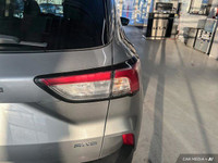 Former Daily Rental: ENGINE: 1.5L ECOBOOST -inc: auto start-stop technology (STD), Wheels: 17 Shadow... (image 8)