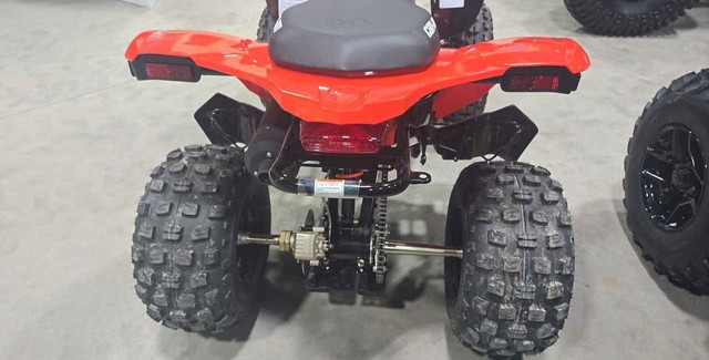 2025 CAN-AM DS 250-RED! in ATVs in Edmonton - Image 4