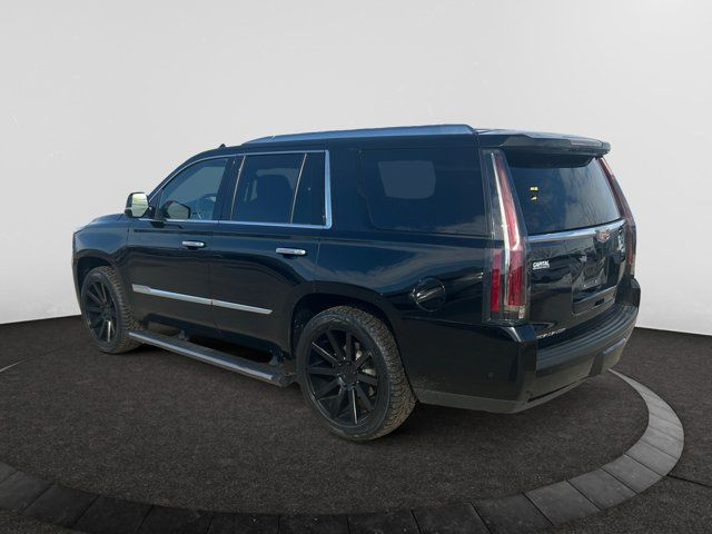 2020 Cadillac Escalade Platinum 4X4 6.2L Leather Sunroof in Cars & Trucks in Regina - Image 3