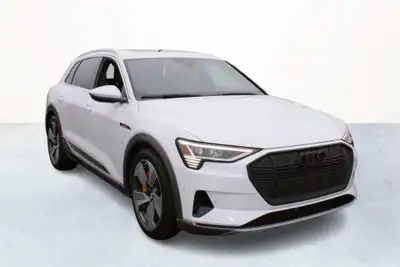 2019 Audi e-tron TECHNIK quattro