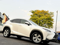 Lexus NX300h Hybrid AWD - Executive Package ($6,500 Upgrade) - Eminent White Exterior on Black Inter... (image 6)