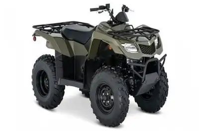 Engine Type: Single-Cylinder Displacement: 22.9 cu. in. (376 cc) Bore x Stroke: Bore: 3.23 in. (82 m...