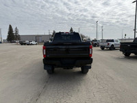 Engine: Intercooled Turbo Diesel V-8 6.7 L/406 Safety Equipment ABS And Driveline Traction Control S... (image 5)
