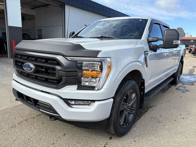 2023 Ford F-150 XLT in Cars & Trucks in Edmonton - Image 2