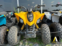 2014 CAN-AM DS 90