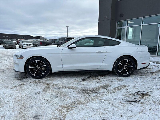 2018 Ford Mustang EcoBoost in Cars & Trucks in St. Albert - Image 4