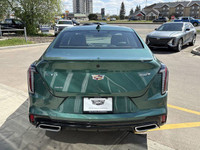 Experience exhilarating performance and refined luxury with the New 2025 Cadillac CT4 Sport, showcas... (image 7)