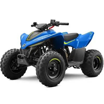 CFMOTO CFORCE 110 Classic 2024 Il n’y a rien de tel que de voir vos enfants conduire leur premier VT...