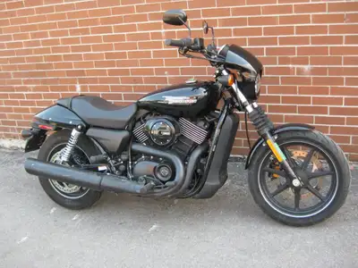 Welcome New Riders! Financing Options Available! Powered By TurnkeyWebSolutions.com Visit us to see...