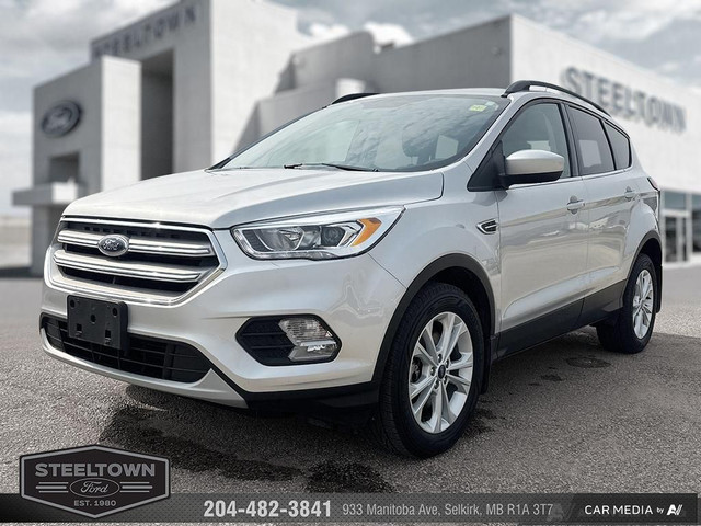 2019 Ford Escape SEL 4WD - Power Liftgate - Park Assist in Cars & Trucks in Winnipeg