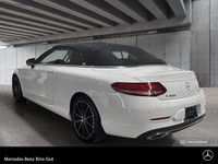 DP1 - Premium Package - Navigation Services - Smartphone Integration - Apple CarPlay - Google Androi... (image 2)