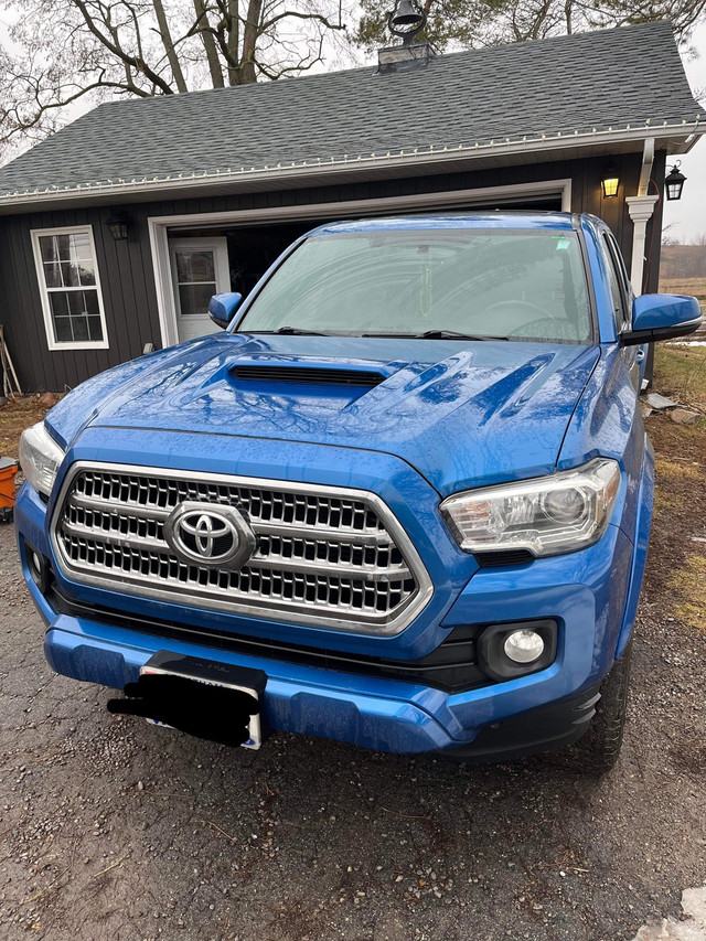 2017 Toyota Tacoma TRD Sport in Cars & Trucks in Kitchener / Waterloo