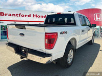 Command the road with this robust 2023 Ford F-150 XL Crew Cab pickup, boasting a powerful 3.5L V6 Ec... (image 5)