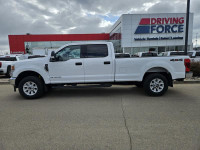 2022 Ford Super Duty F-350 SRW XLT 4WD Crew Cab 8' Box, 6.7L V8 Diesel, XLT Value Package, Remote St... (image 1)