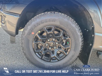 Thanks for viewing our Cam Clark Ford Inventory! WAS: $80900 NOW: $70900 plus taxes and licensing fe... (image 6)